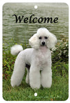 White Poodle - Best of Breed  Indoor/Outdoor Aluminum Sign 8" x 12"