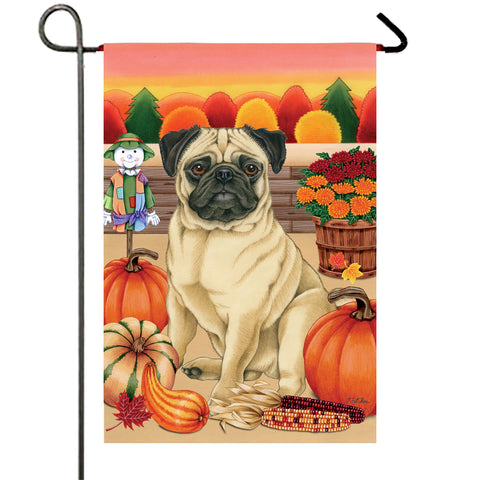 Pug  Fawn- Best of Breed Autumn Harvest Garden Flag 12" x 17"