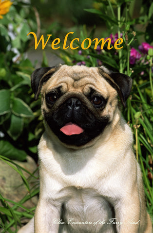 Pug Fawn - Close Encounters of the Furry Kind Welcome  House and Garden Flags