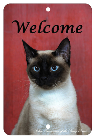 Siamese Cat - Best of Breed  Indoor/Outdoor Aluminum Sign 8" x 12"