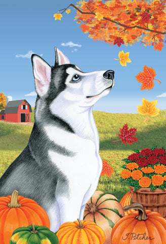 Siberian Husky Black/White- Tomoyo Pitcher Autumn Leaves Outdoor Flag