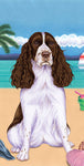Springer Spaniel - Best of Breed Terry Velour Microfiber Beach Towel 30" x 60"