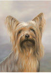 Yorkie Show Cut - Best of Breed Portrait   Outdoor Flag